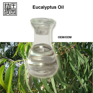 Mosquito Repellent National Standard Eucalyptus Oil Manufacturer