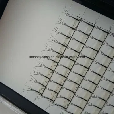 Russian Classics Volume Eyelashes Extension 3D 4D 5D 6D Pre Made Fans Lashes