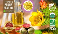 ORGANIC PRICKLY PEAR SEED OIL WHOLESALE MOROCCO