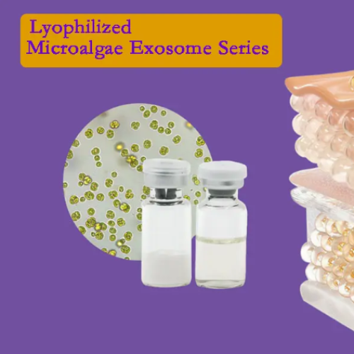 Lyophilized Microalgae Exosome Series