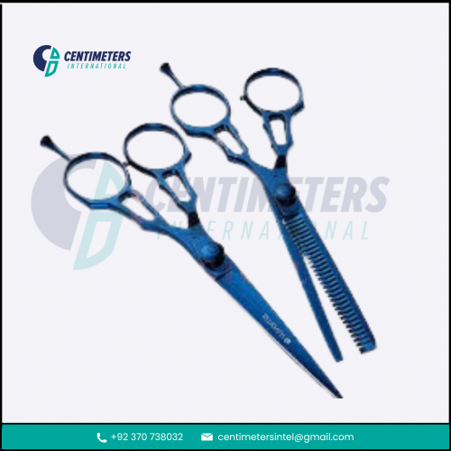 Professional Stainless Steel Beauty Scissor for Precision Grooming