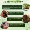 Sanjeevani Natural Herbal Henna Powder for Hair | 100% Pure, Chemical-Free Henna for Natural Hair Color, Conditioning & Shine | For Men & Women