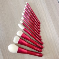 Brushes