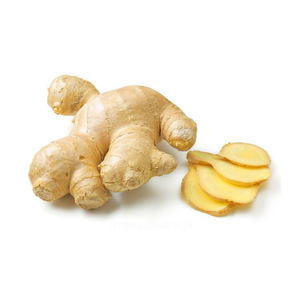 100% Pure and Natural with high quality Ginger Spice Essential Oil