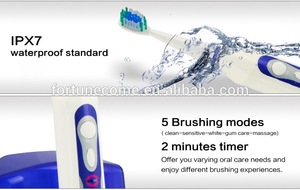 2016 sonic electric toothbrush sanitizer FL-A12