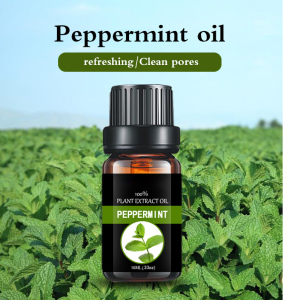 Aromatic essential oil peppermint oil cosmetic base oil