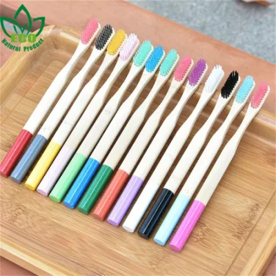 Custom Charcoal Round Handle Colorful Unique Wholesale Bamboo Toothbrush with Bamboo Bristles