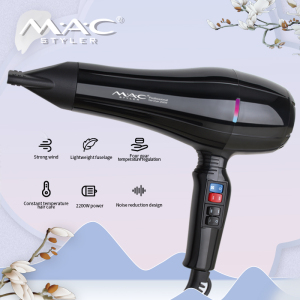 High Efficiency Powerful Salon AC Motor Hair dryer Factory price Household hotel home Hair Dryer Manufacturer customized