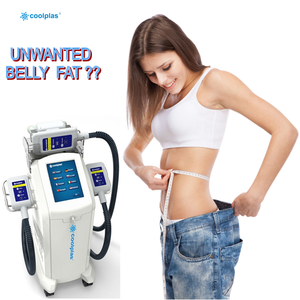 Newest Model Fat Freeze Machine 4 Cryo Handles Kryolipolyse Equipment