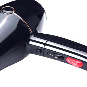 Wholesale Dual Voltage Revlon Hair Dryer Factory Directly Blow Straighteners Professional Salon Dryers Infrared Function