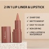 Wholesale Lakerain Durable Waterproof Easy to Color Non Drying Lip Line 2-in-1 Pointed Velvet Matte Lipstick