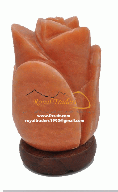 Himalayan salt Foot Detoxes