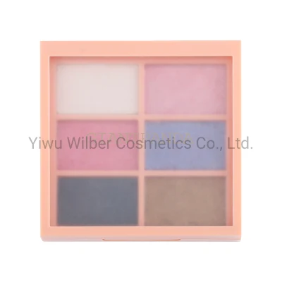 6 Colors Long Lasting Eyeshadow Palette Shimmer Matte and Pearlized