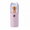 Domestic cute pretty hand held Nano Humidifier Spray facial apparatus