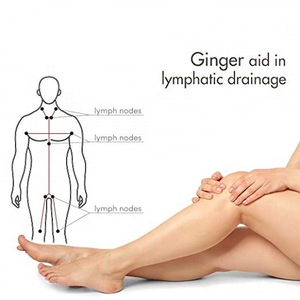 Ginger Essential Oil  Hair, Massage, Swelling and Skin - 10m