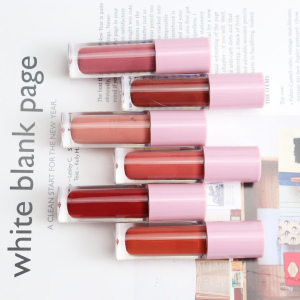 OEM/ODM Private Label Long Lasting Matte Lip gloss Makeup Cosmetics Lip Tint Liquid Lipstick Multicolor Lipgloss