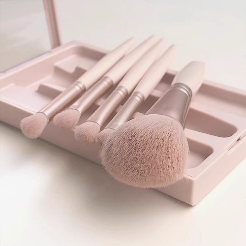 5Pcs Travel Makeup Brush with Mirror Case