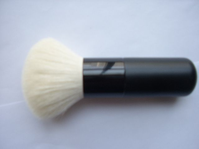 cossmetic brush