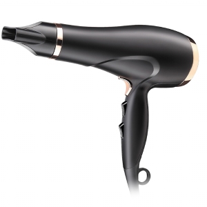 2021 Hot Sale Professional AC Motor Negative Ionic Hair Blow Dryer Hair Salon Equipment Hair Dryer