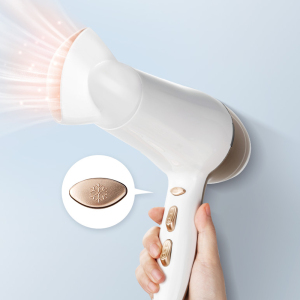 2200W Electric Hair Dryer with DC Motor