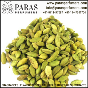 Cardamom Essential Oil