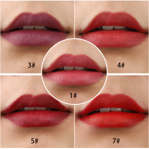 wholesale korean makeup private label cosmetics vegan matte lipstick