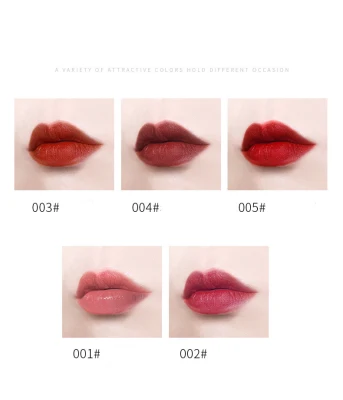 Wholesale Make Your Own Lipgloss Makeup Silk Mist Velvet Lip Glaze
