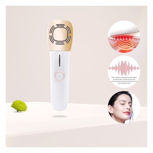 Portable IP65 Waterproof Cooling and Rejuvenation Facial Toning Device Beauty Instrument Smart Photon Rejuvenation Machine