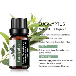 10ML Eucalyptus Essential Oil OEM Private Label Diffuse Aromatherapy 100% Natural Tea Tree Spa Essential Oils Humidifier Use