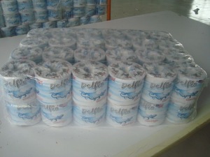 hotsale and high quality toilet paper in bulk