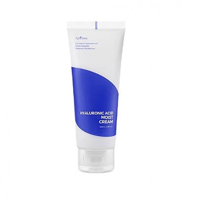 [Isntree] renewal Hyaluronic Acid Moist Cream 100ml