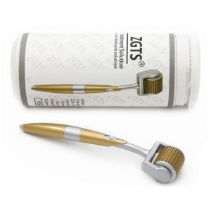 Most Popular Real Titanium Needles ZGTS 192 Derma Roller price