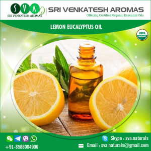 Organic Lemon Eucalyptus Essential Oil at Low Price