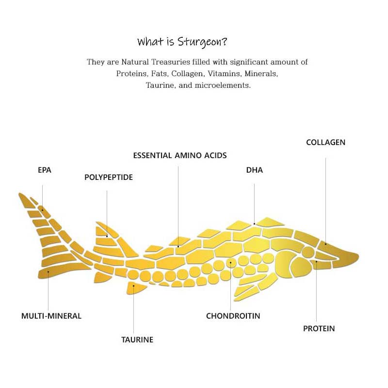 The Zoeun Skin Total Care Cream , K-Beauty Skin Care (Sturgeon Cosmetics)