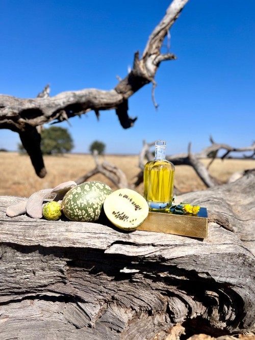 Conventional Kalahari Melon Seed Oil – Cold Pressed, High Vitamin E, Linoleic Acid