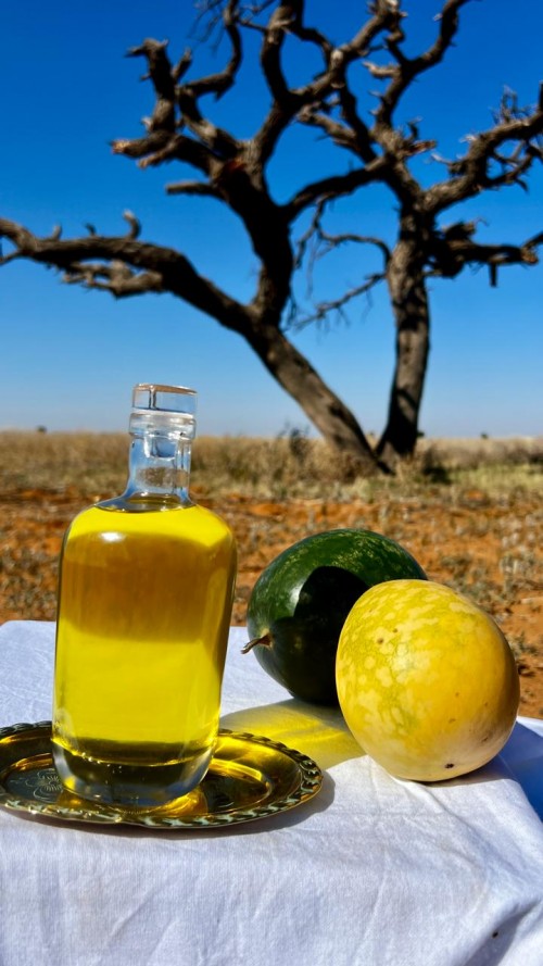 Conventional Kalahari Melon Seed Oil – Cold Pressed, High Vitamin E, Linoleic Acid