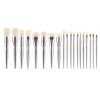 Professional 19pcs Makeup Brush Set with Silver Electroplated Handle Premium Synthetic Hair Cosmetic Brushes for Private Label Customization