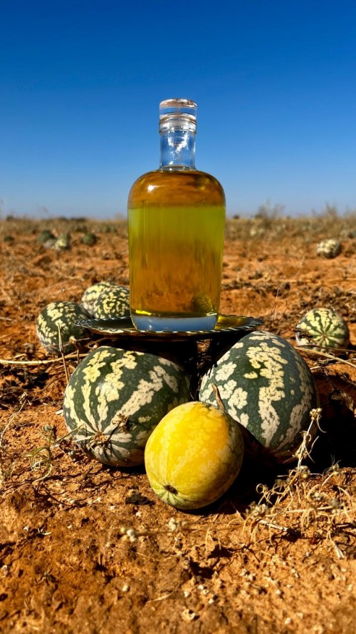Conventional Kalahari Melon Seed Oil – Cold Pressed, High Vitamin E, Linoleic Acid