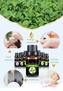 Aromatic essential oil peppermint oil cosmetic base oil