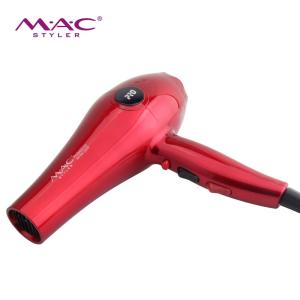 Big Power Hair Dryer Heavy Duty High Quality Hair Dryer AC Motor Dyer Hair Professional Max