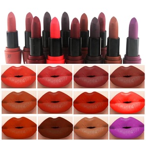 High quality beauty cosmetics waterproof matte lipstick