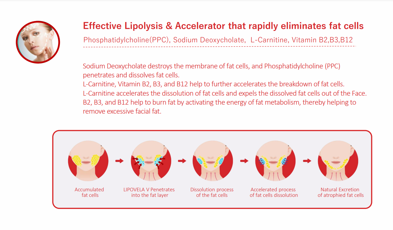 LIPO VELA - V Premium Lipolysis Solution with a Whitening &amp; Lifting Effect, Beautiful V-line