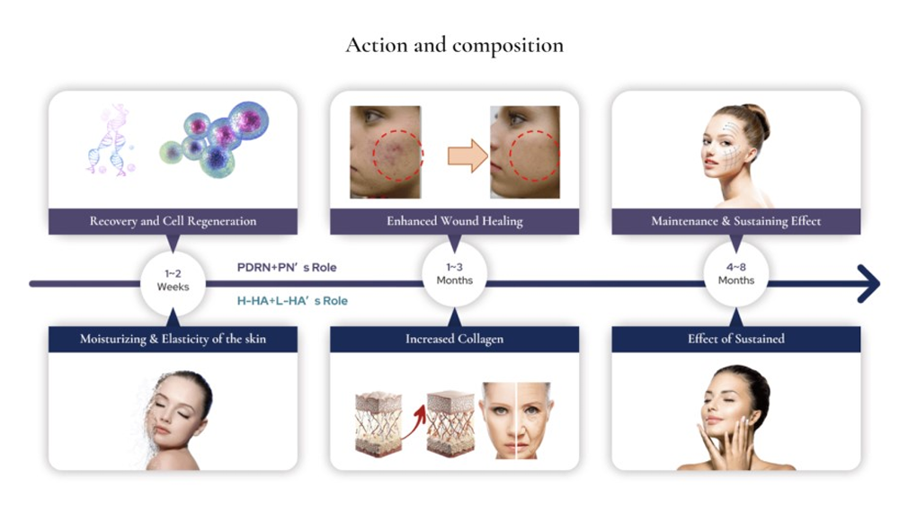 Made in South Korea High quality K Beauty Synerfill H-HA + L-HA + PDRN + PN Skin Booster