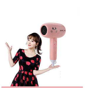 New Design Professional  Hair Dryer