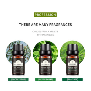 OEM ODM 10ml tea tree oil Grade Fragrance body massage essential oil