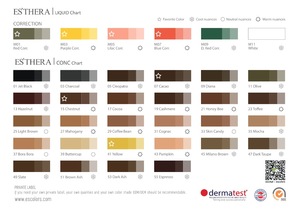 Sealer Pigment ink for semi permanent makeup /microbalding pigment/micropigmentaion/contour makeup pigment