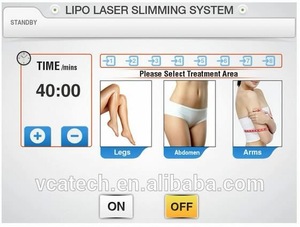 VCA CE Approved Laser Body Slimming with RF machine
