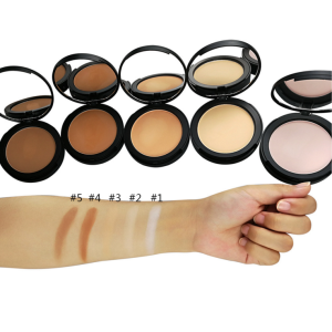 Wholesale  multicolor optional beauty pressed powder makeup foundation private label