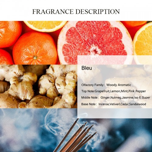 UNIQUE AROMA Bleu Perfume Oil Men Perfumes Woody Original Fragrances High Quality Blue  Man Cologne Spray Famous Brand Perfume