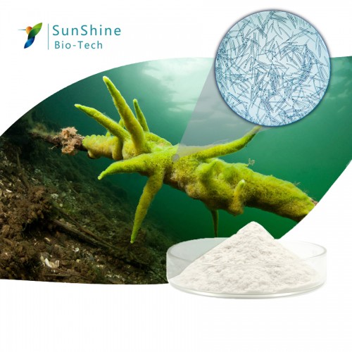 Sponge Spicule hydrolyzed sponge extract  powder of  freshwater sponge
